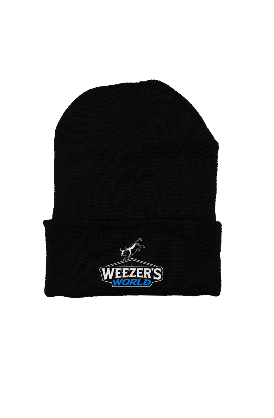 Weezer's world Beanie