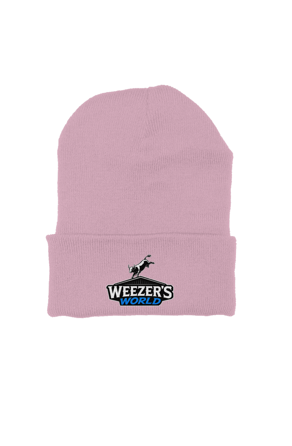 Weezer's world Beanie
